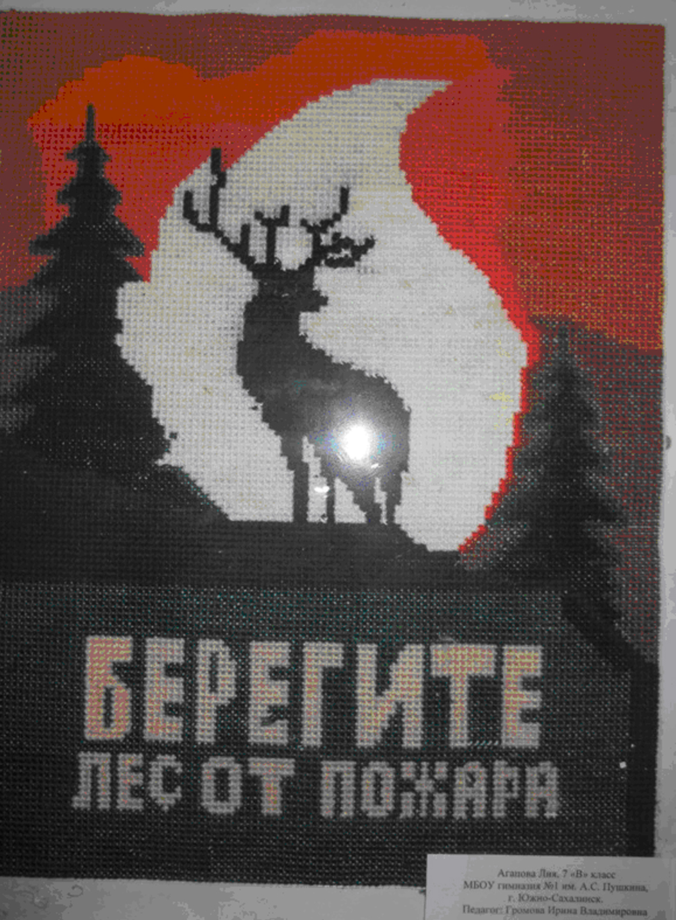 63e454e4.jpg