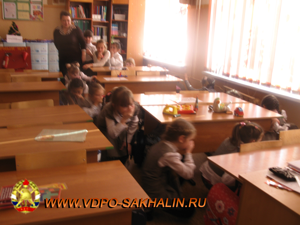 IMG_2985.jpg